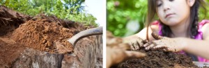 build your own earth oven