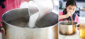 brew your own kombucha tea
